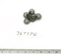 Click for 1 image(s) for this accession. FRUIT